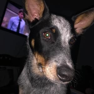 Meet your Posher, Carrie